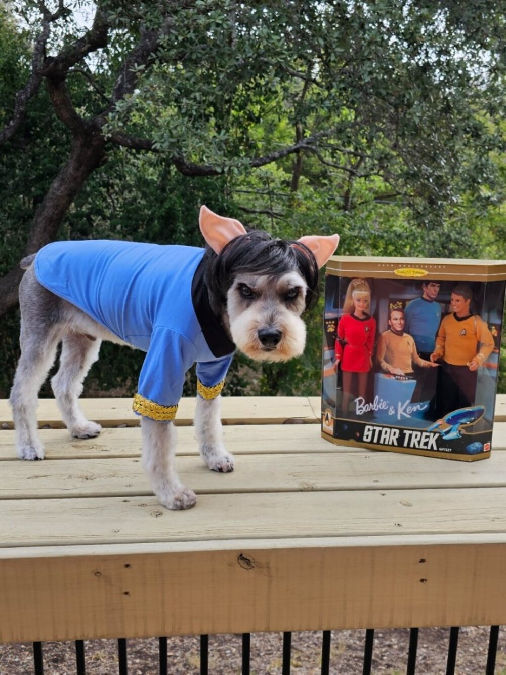 Dr. Spock Dog Costume